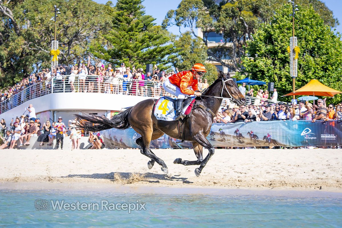 WesternRacepix's tweet photo. DARK CITY - 2025 Channel 7 Rockingham Beach Cup #WesternRacepix #RockinghamBeachCup
More π· https://t.co/XhRFkk00xX https://t.co/HOe5uymwfx