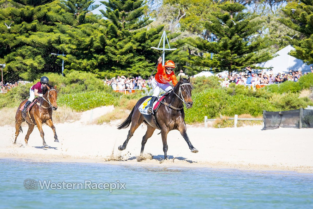 WesternRacepix's tweet photo. DARK CITY - 2025 Channel 7 Rockingham Beach Cup #WesternRacepix #RockinghamBeachCup
More π· https://t.co/XhRFkk00xX https://t.co/HOe5uymwfx