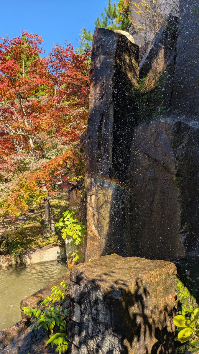 やまにゃん やまにゃん (@ASGxELWzjDlGQGa) / Posts / X