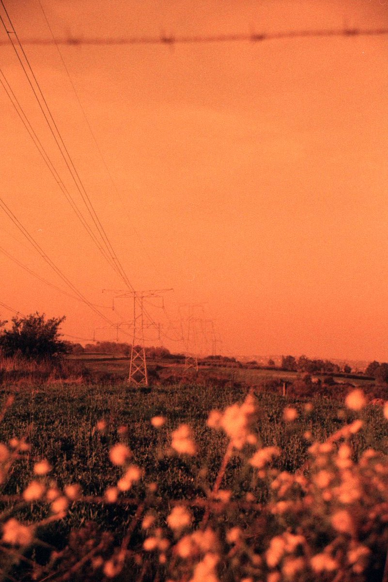 AvoTaam's tweet image. J’ai testé la Herman Red, c’est sympa non ?