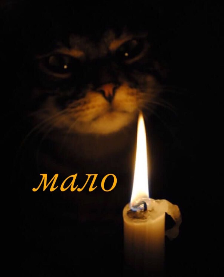 Patrulez tweet media