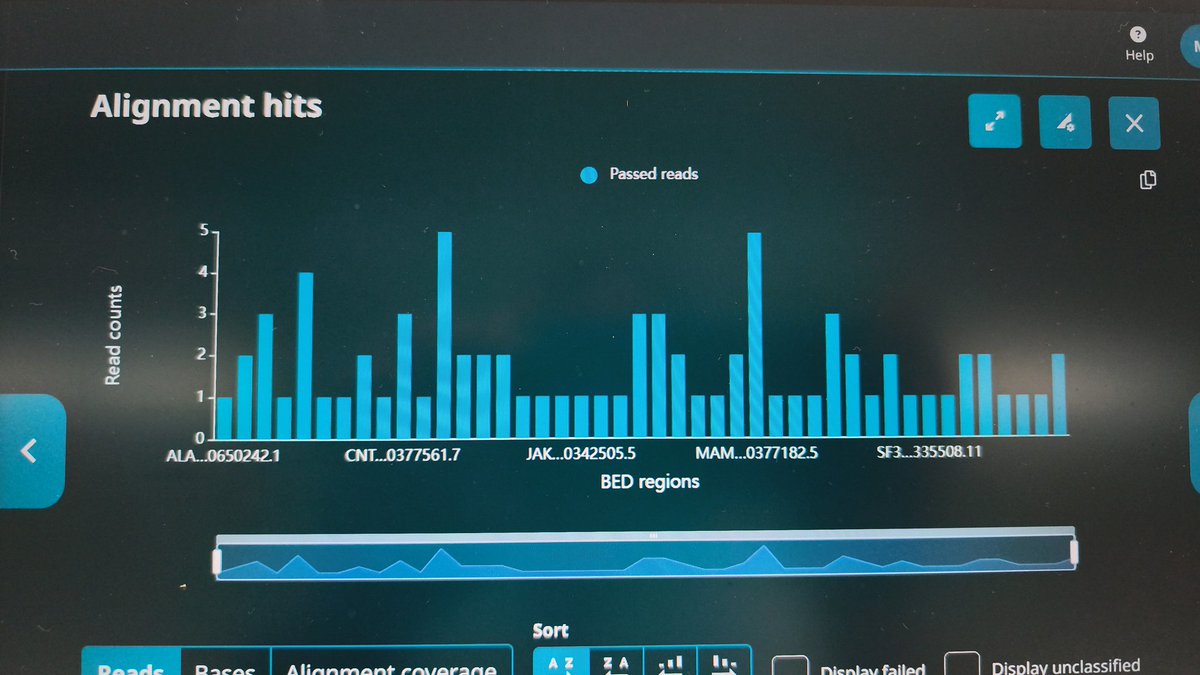 Mónica Cappetta tweet media