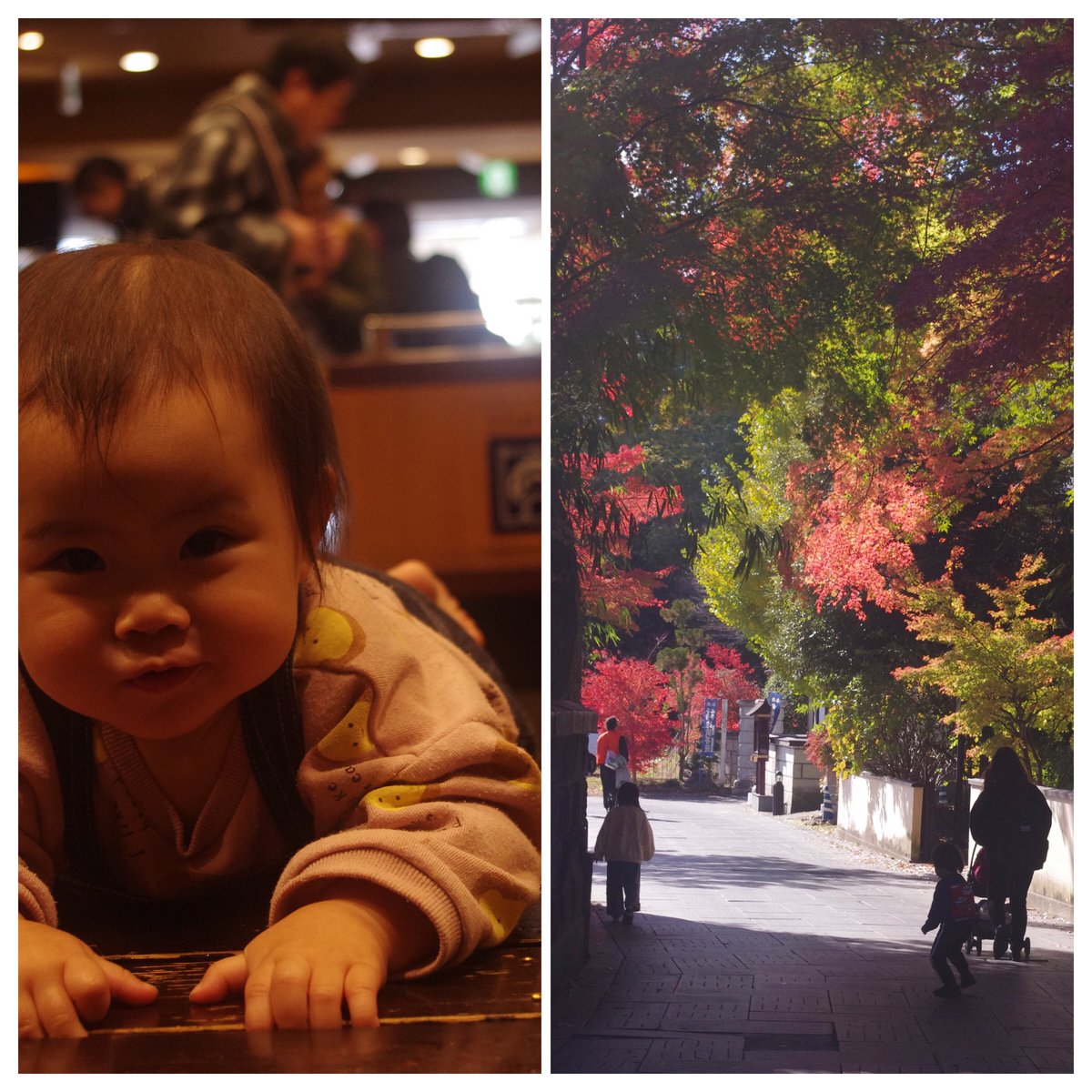 nibebokuhagohan's tweet photo. 週末弾丸松島ハイライト🌲 https://t.co/8S7WWeFps9