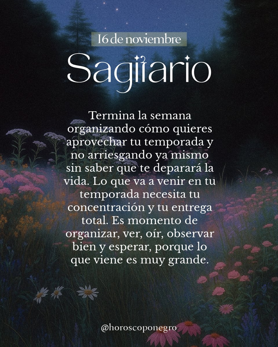 sagitario_hn's tweet photo. ✨ ♐ ✨ https://t.co/Mi4m0Xekwb