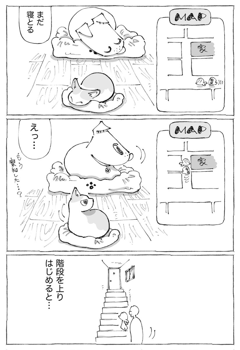 【2/3】 