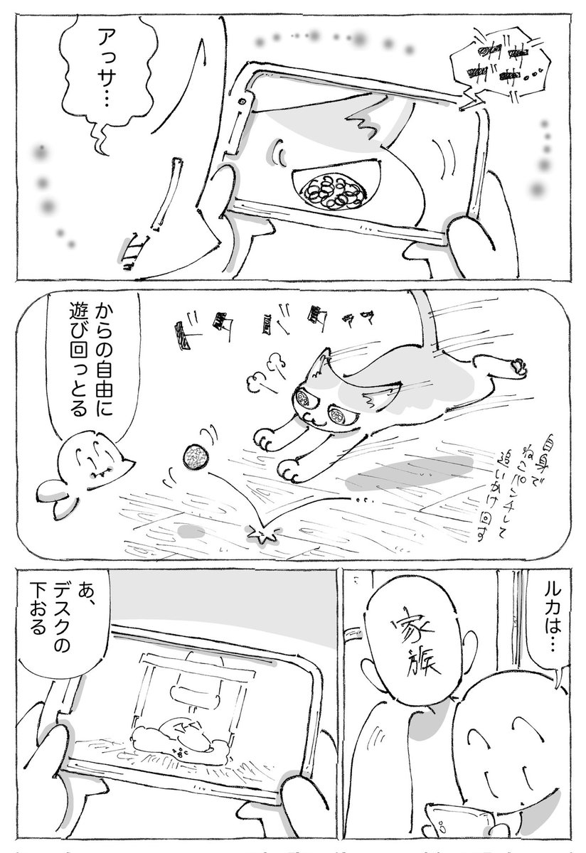 【2/3】 