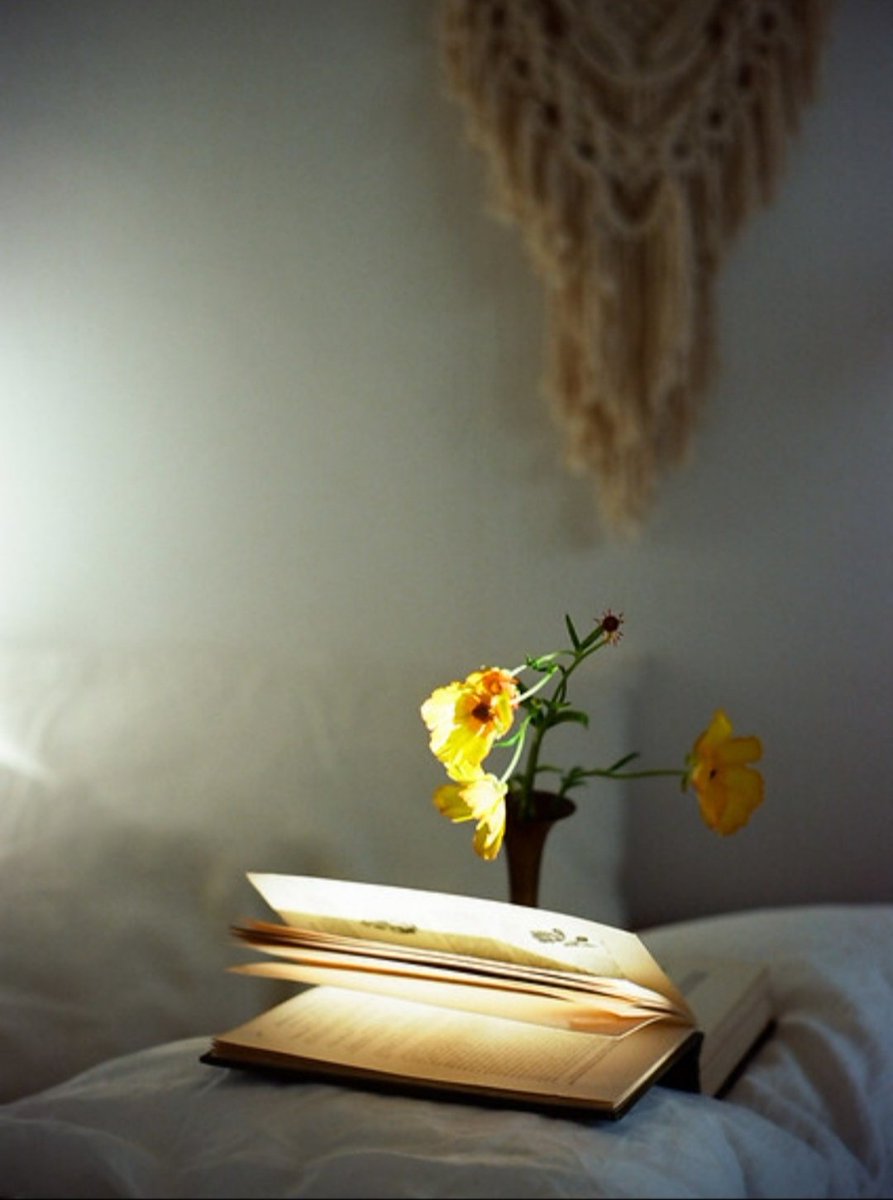 “If you don’t write your books, nobody else will do it for you. No one else has lived your life.”

- José Saramago