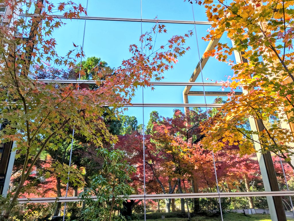 #紅葉

#けいはんな記念公園