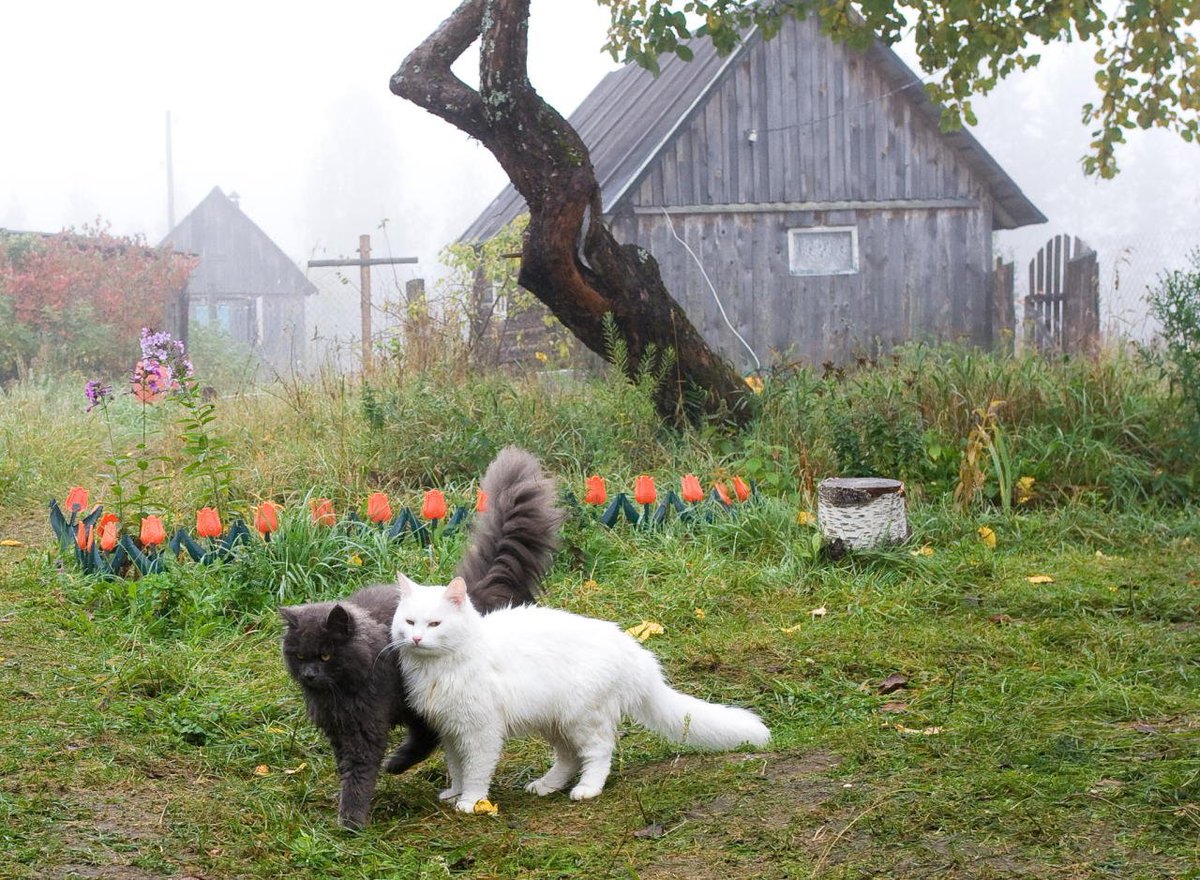 sorrrowfull's tweet image. 