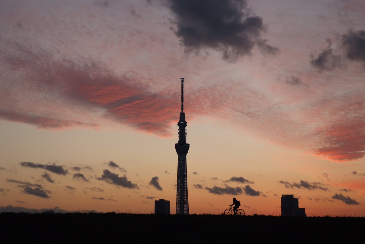 masajtak's tweet photo. #マジックアワー #東京スカイツリー #自転車 https://t.co/f8jy5bA7tv