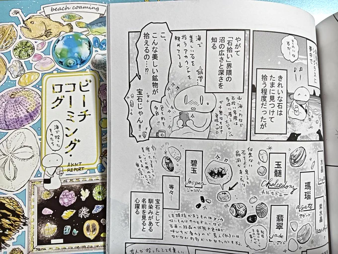 11/24のコミティア、再版したビーチコーミングの本も多めに持って行く予定です
涼しい気候の方がビーチコーミングしやすいので夏より冬が本番なんだ…
海のオブジェをたくさん描いた表紙、ほどよくくすんだブルーに刷ってもらえて可愛いです、印刷所さんに感謝
#ラックで刷ったよ 