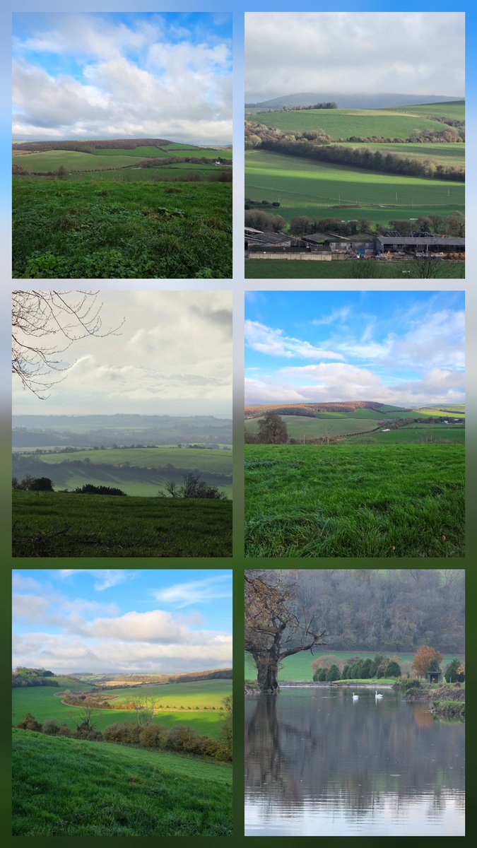 Julie Aris 🇺🇦🇬🇧 tweet media