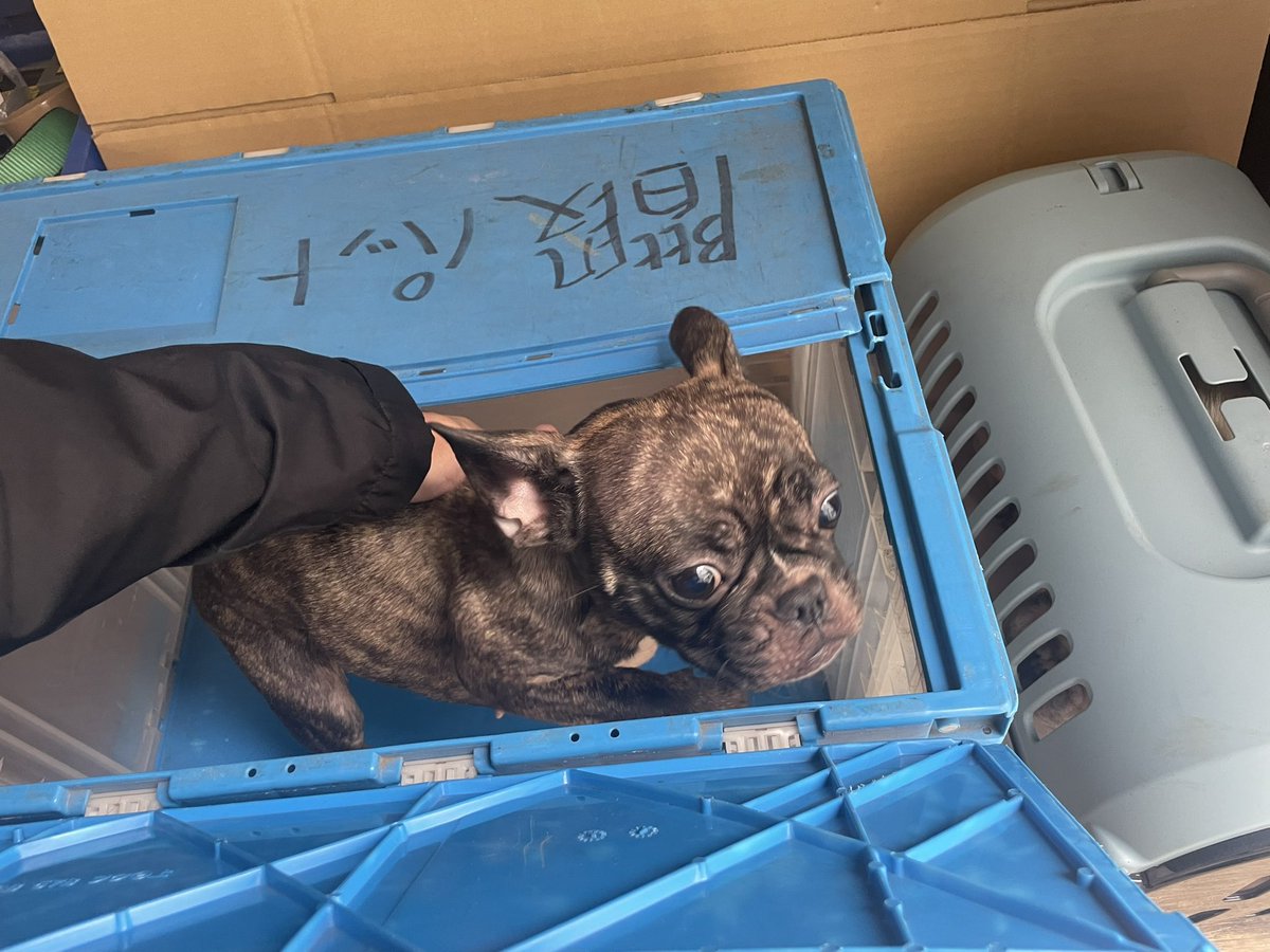 うーさん (@tomozo4989) / Posts / X