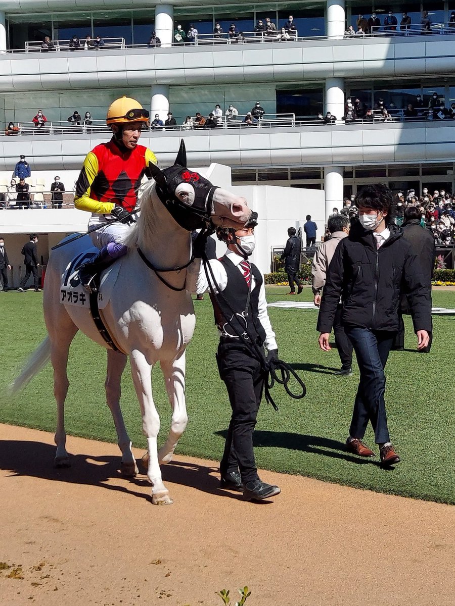 まおらページ BRZ ZC6 クラッチキット ORC SEクラッチ ORC-559-SE(ツイン) プッシュ