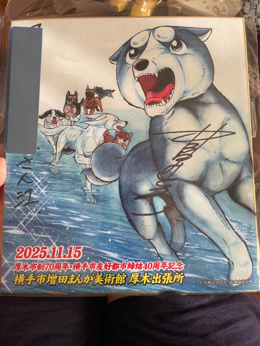 非公式銀牙X (@unofficialginga) / Posts / X