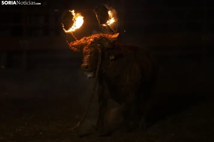Deplorable la presencia de niñas y niños en el toro embolado de #Medinaceli.

⚠️Adultos intentando normalizar la violencia sobre animales como forma de ocio.

Salvajada.