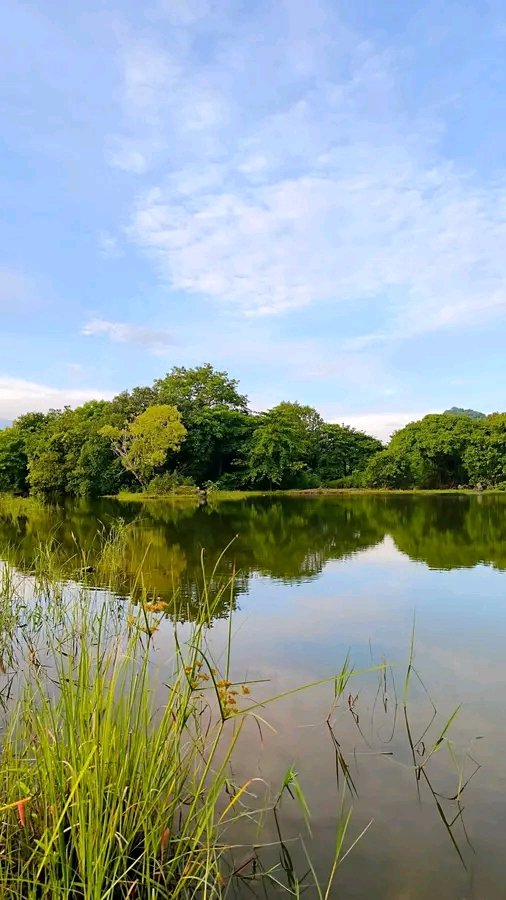 "Uncommon advice:

If you don't know what to pursue in life right now, pursue yourself.

Pursue becoming the healthiest, happiest, most healed, most present, most confident version of yourself.

Then the right path will reveal itself."

-Unknown