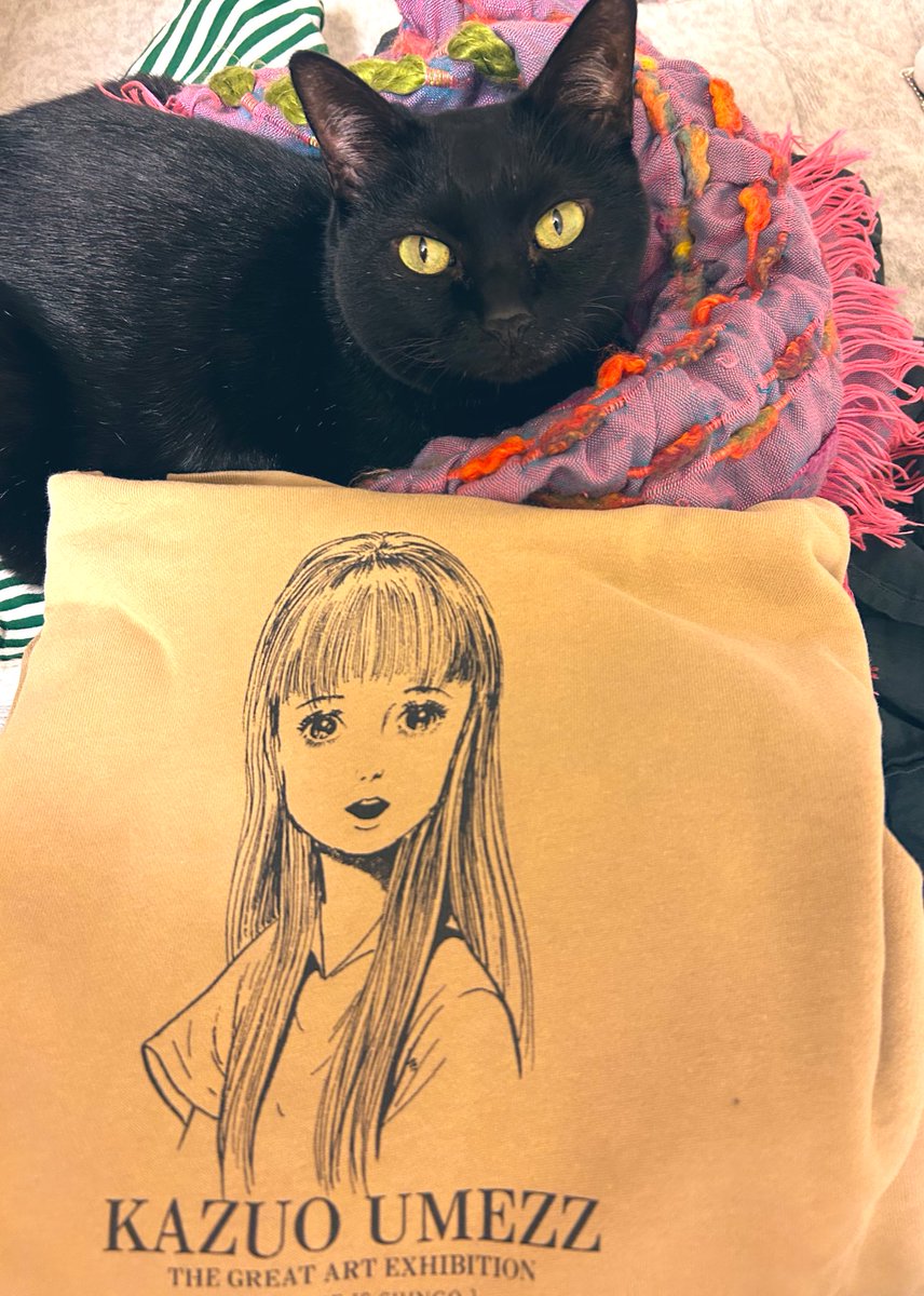 きのこのこのこ (@kinoco_neco1234) / Posts / X