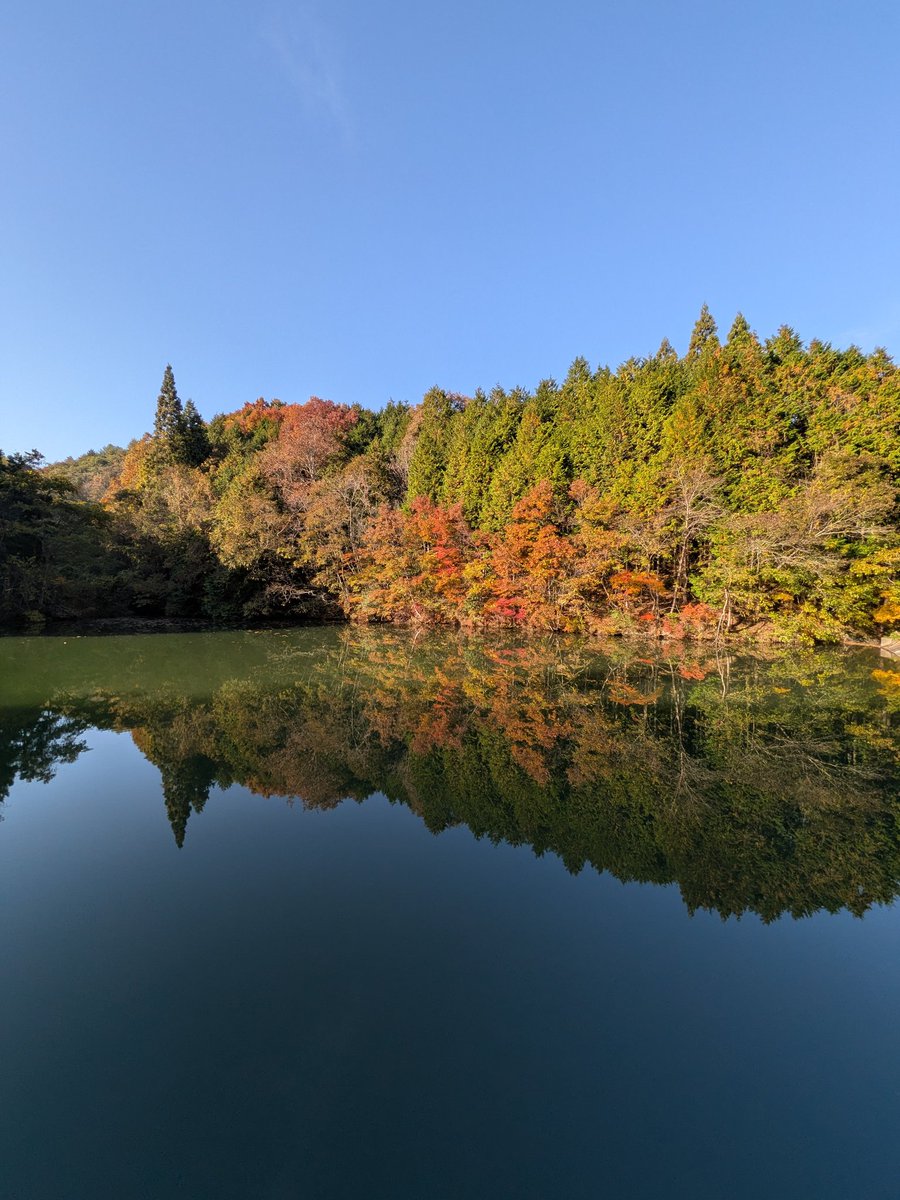 エロじゃないヤツ
こーいうリフレクション好きなんよね〜