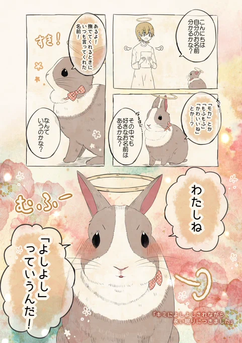 自分の名前を勘違いしているうさぎ 