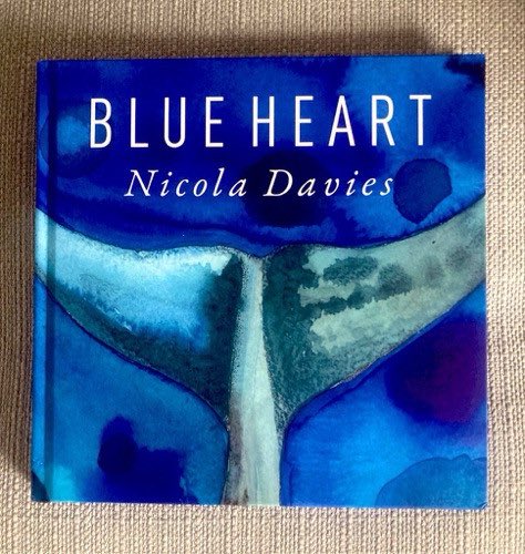 DrElizabethMac1's tweet image. To celebrate #WorldPhilosophyDay we are giving away #books from our wonderful team @gill__lewis @hanan_issa_ @Eloisejwilliams #NicolaDavies 4 fabulous books from 4 truly wondrous authors &amp;amp; change maker storytellers #TeamWales RT, like and reply #WPD2025 below #philosophyinthewild