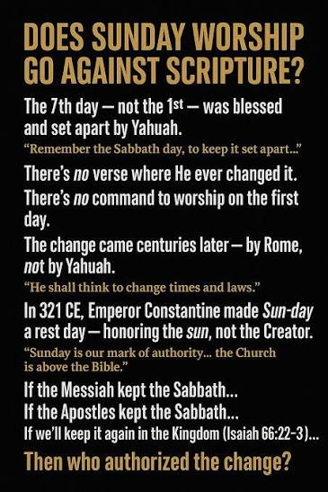 Deano8182's tweet image. 