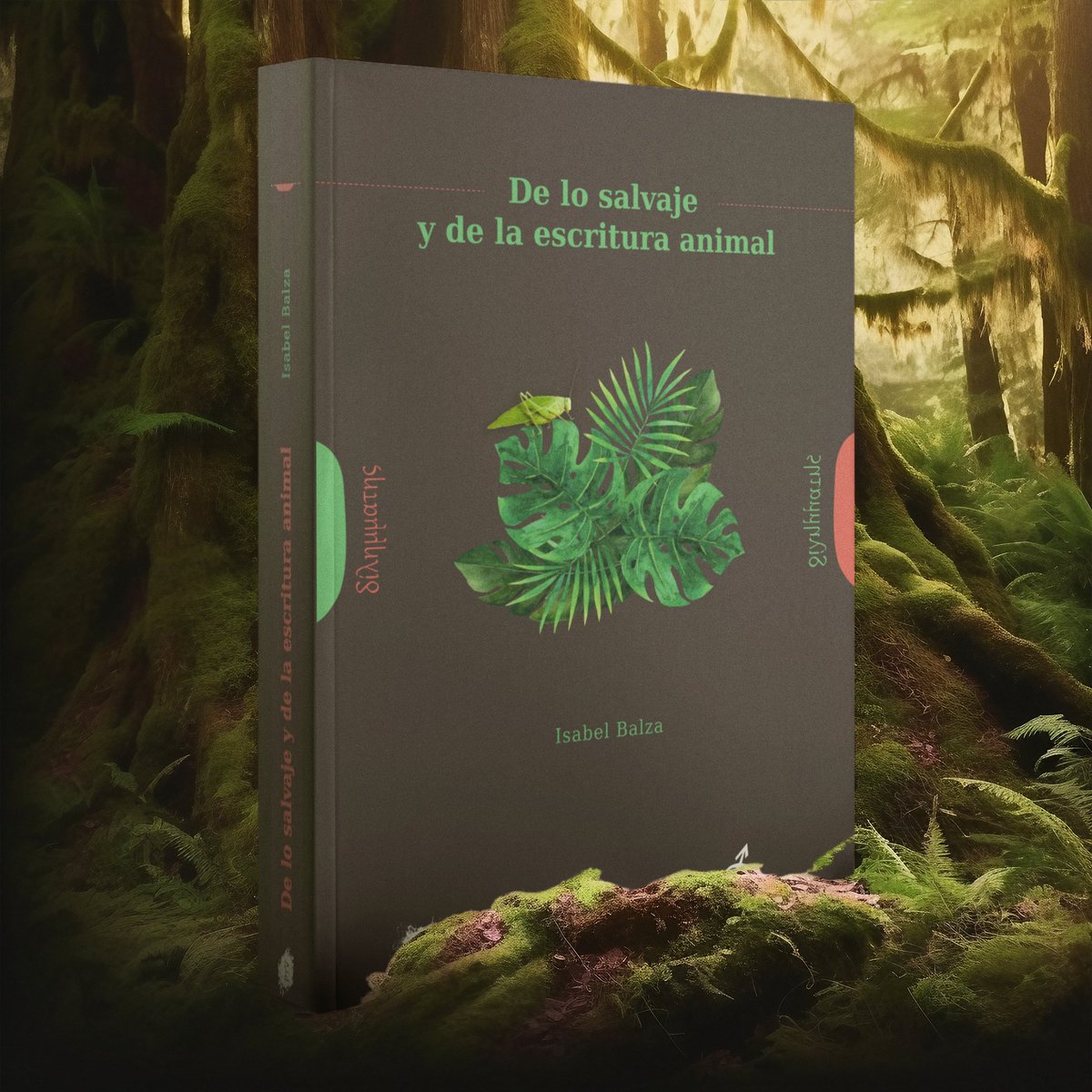 Frente al vínculo ajeno y roto que mantenemos con la tierra, lo salvaje aparece como aquello que nos acerca a una reconciliación con la vida.

De lo salvaje y de la escritura animal, de <a href="/ixabelb/">Isabel Balza</a> 
plazayvaldes.es/libro/de-lo-sa…