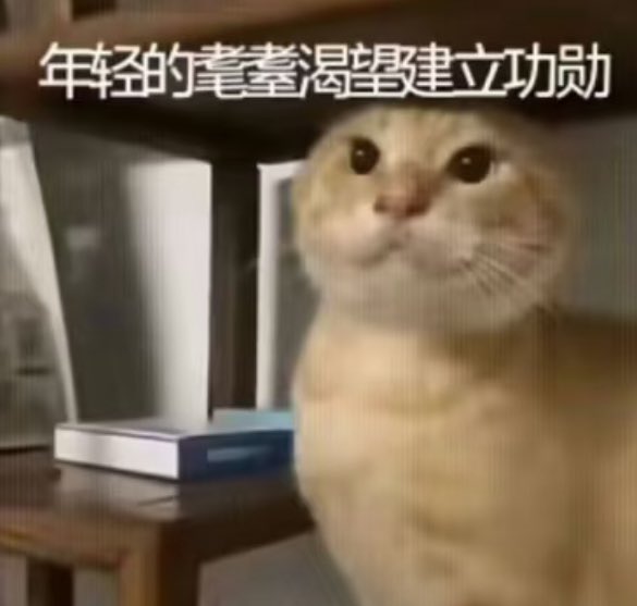 川和.豆沙維尼🇹🇼 橘貓愛好份子 tweet media