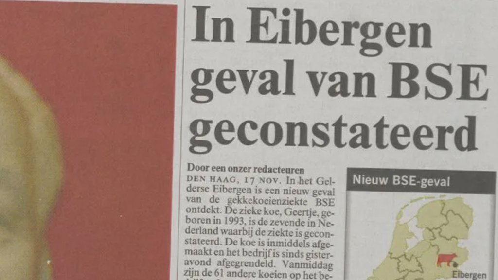 16 november 2000. Een BSE-geval in Nederland, de gekkekoeienziekte! Coca-Cola kreeg een boete van 192 miljoen dollar en het handmatig tellen in de VS mocht doorgaan van het hoogste rechtscollege van Florida. Dat en meer: hetjaar2000.nl/16-november-20…