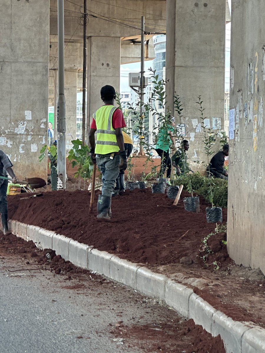 Alfayaz 11 tweet media