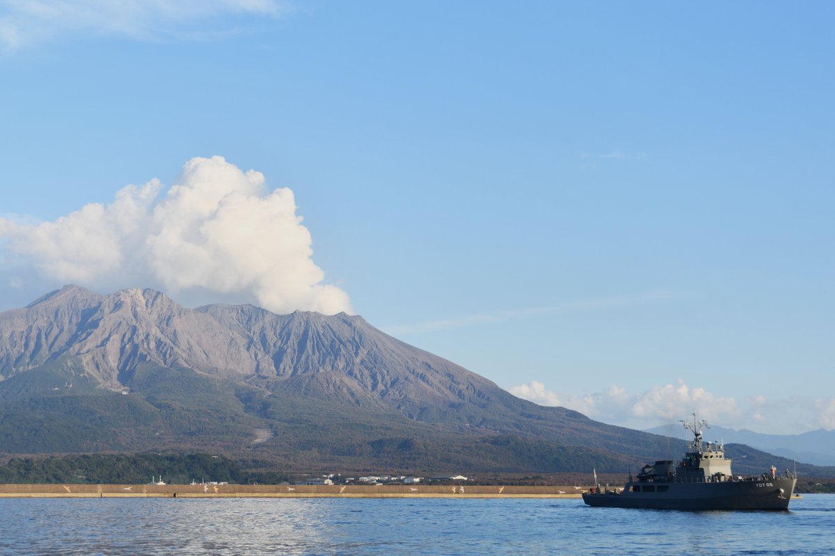 唯一。山採りソヨゴ。 Yamato Koji Park (2025) - All You Need to