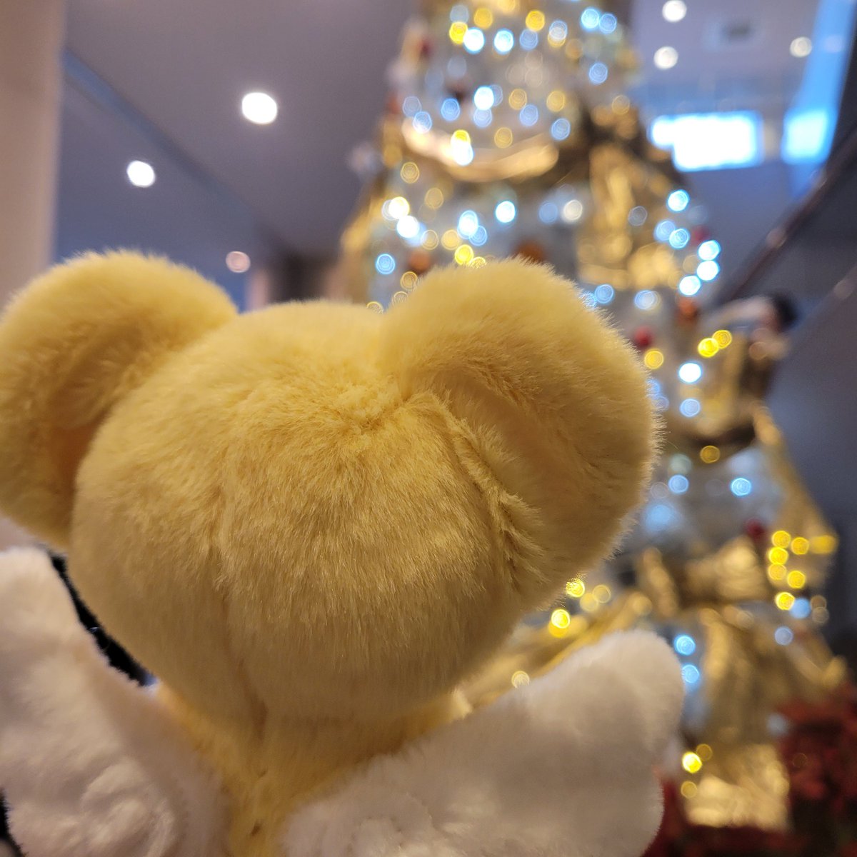 ymno_86's tweet image. ケロちゃん撮影会📷️ケロちゃんもスタッフさんたちも優しくて幸せ時間でした💞ぬいぐるみケロちゃんとクリスマスマーケットを満喫🎄✨
#ccsakura
