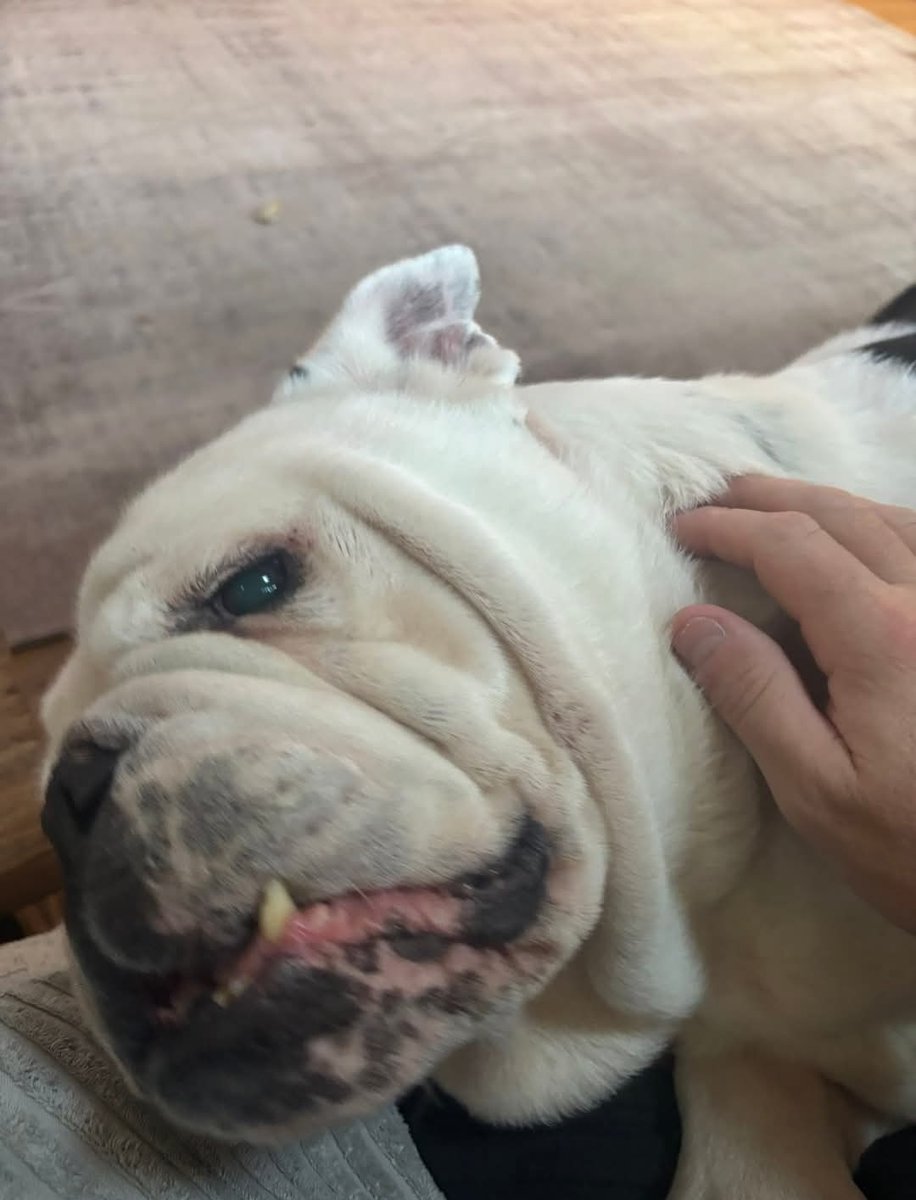 The Edward Foundation tweet media