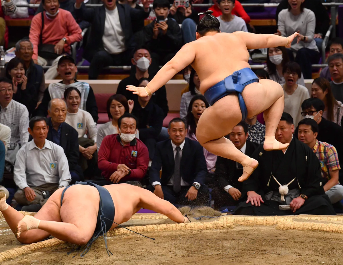 アフガン 航空 相撲