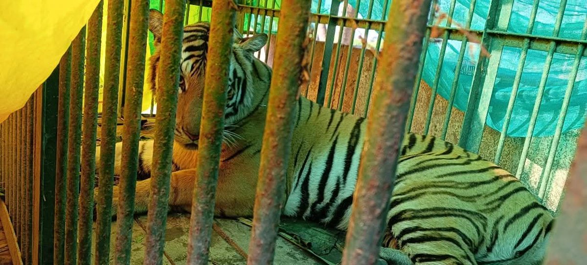 Prashant pandey tweet media