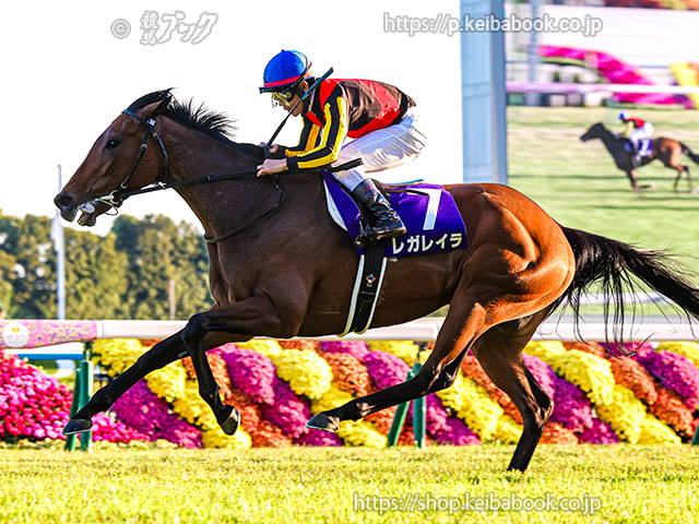 競馬ブックネットSHOP (@keibabookshop) / Posts / X