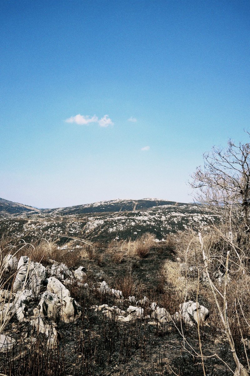 2/15こすおん＠山焼きから五日後開催決定!　近日募集開始いたします