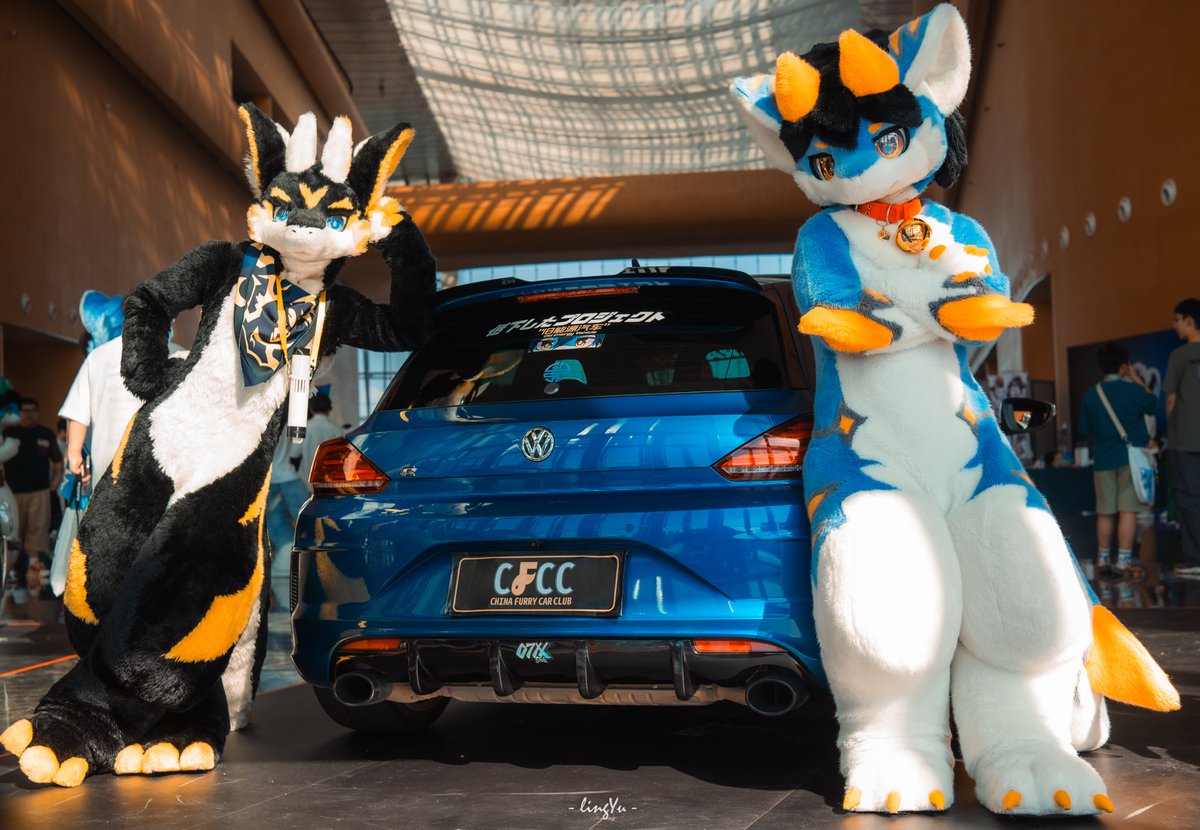 BeastDash's tweet image. 