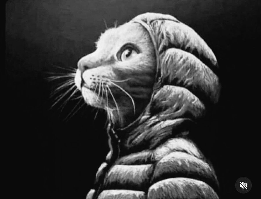 Yarın vizeler götümü genişleticek