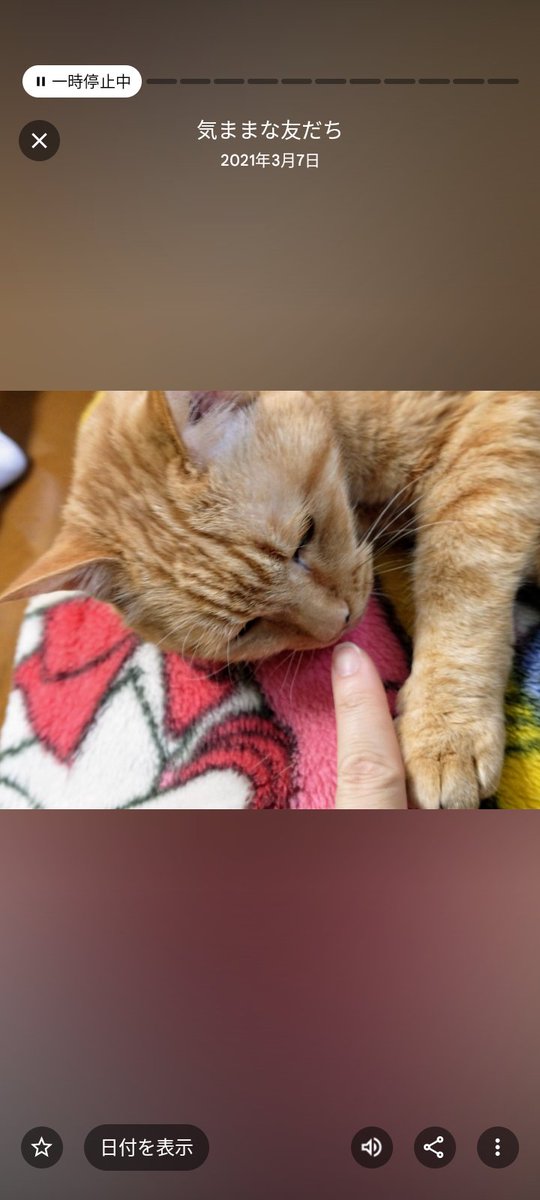 googleさん、スマホの写真をピックアップしてタイトルつけてアルバム