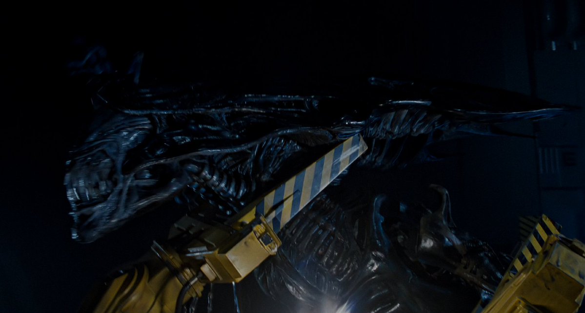 morph_chris's tweet image. Aliens (1986) #Aliens #sreenshots #ripley #aliensextended