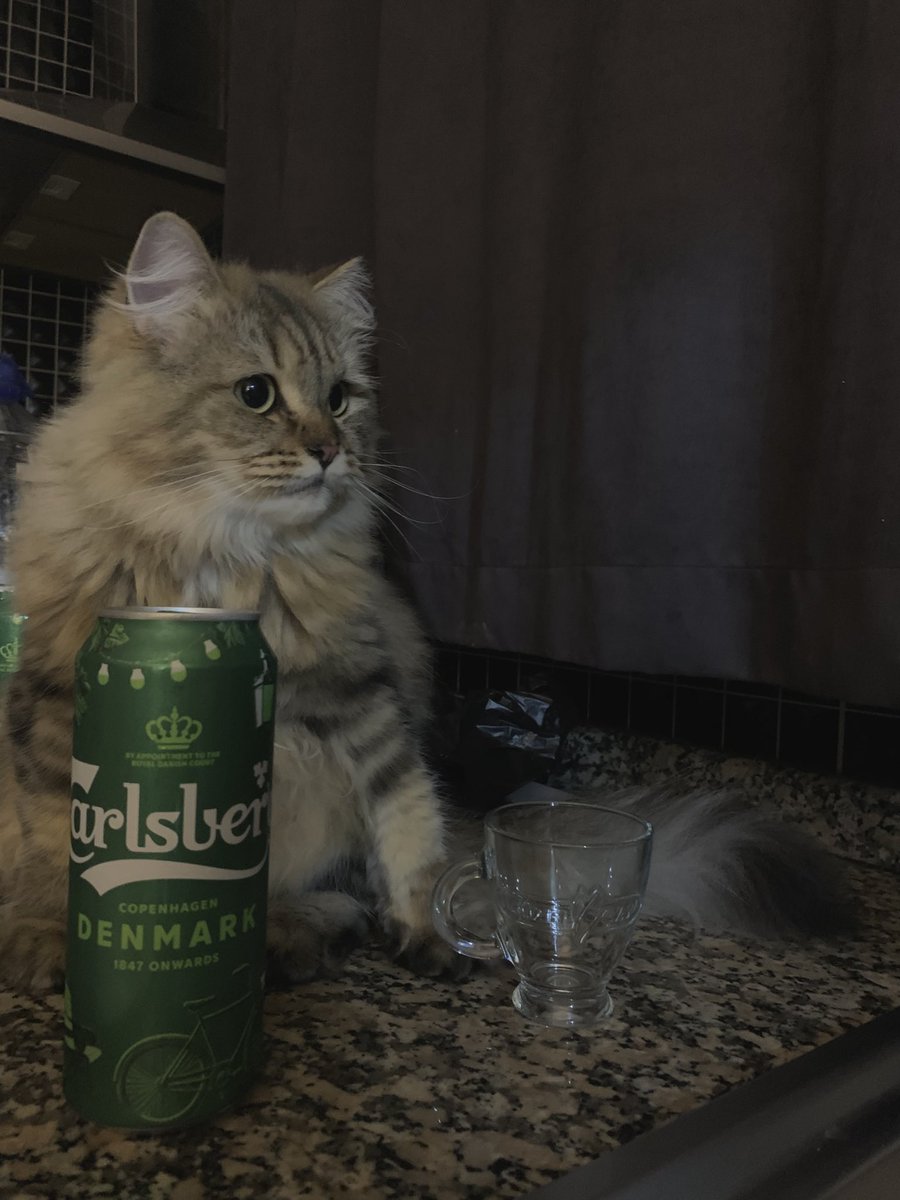 Gününüz aydın olsun