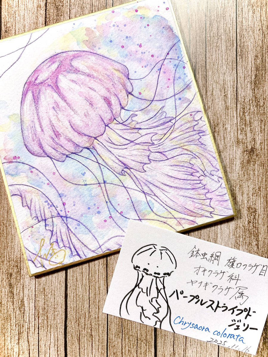 クラゲアート クラゲ100日チャレンジ2025 55日目、パープルストライプドジェリー💜🪼