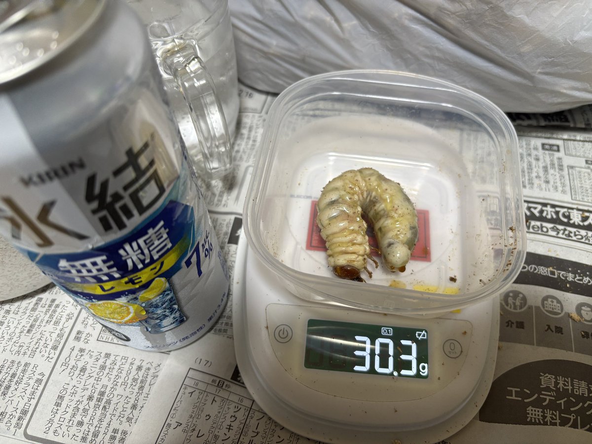 SNOW Noodle (@SnowSOBA0098) / Posts / X