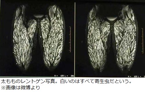 あきれす tweet media