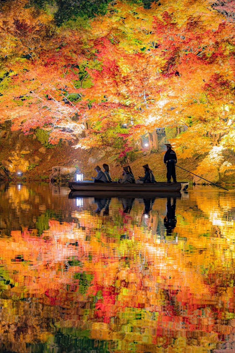 yuya0240's tweet image. 香川県で素敵な秋見つけた