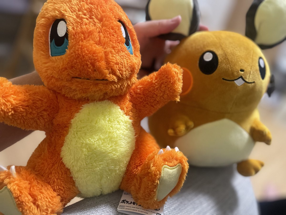 豚ちゃん (@butanokuni) / Posts / X