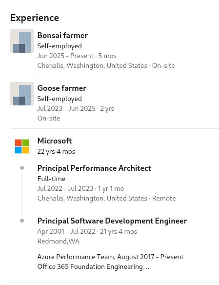 milan_milanovic's tweet image. Friday Developers Fun 🤣

Seems that the Goose farmer is not a dream job after all

#developers #meme #fridayhumor