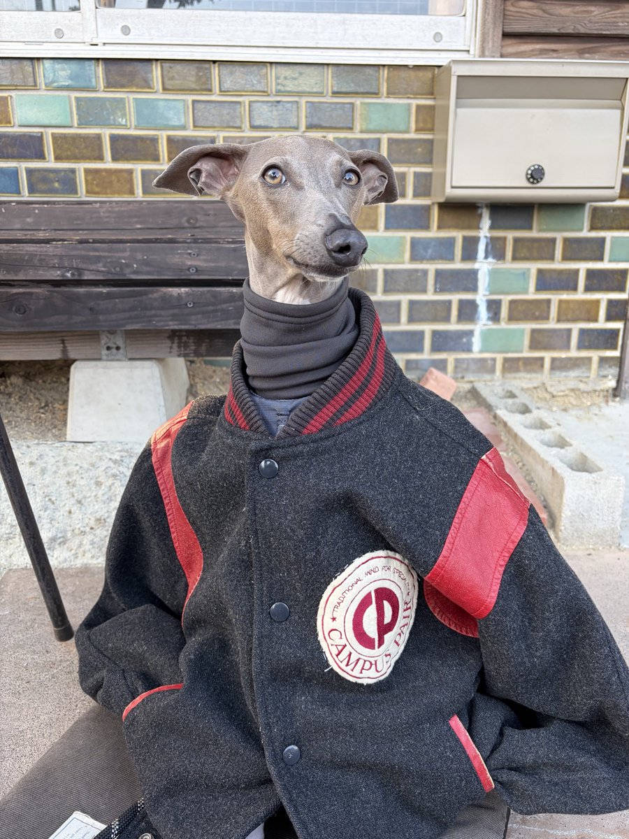 山田太郎 (@c25c7g24) / Posts / X