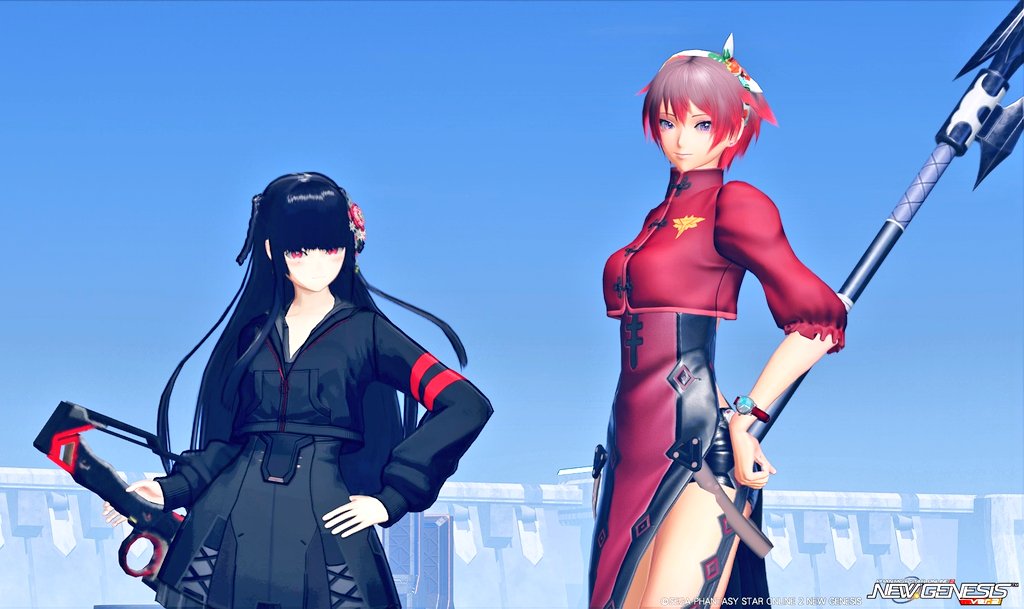 #PSO2NGS_S︎S #とりにきた
撮らせていただきました